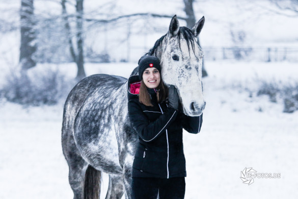 Pferdefotos im Schnee