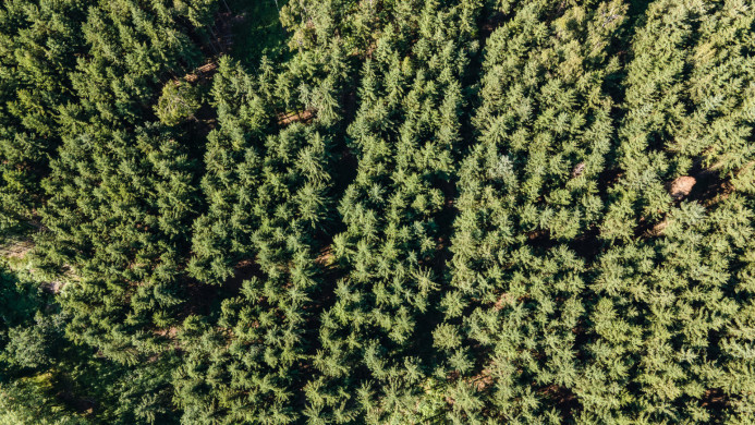 Luftaufnahmen & Drohnenaufnahmen