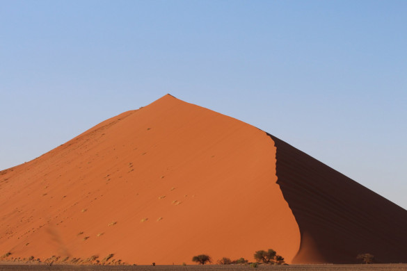 Naturfotografie