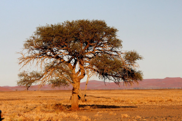 Naturfotografie