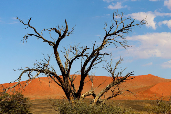 Naturfotografie