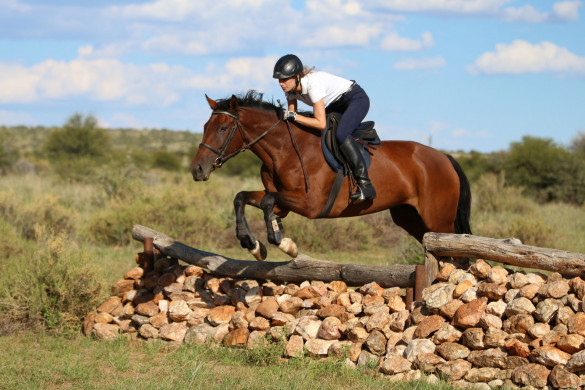 Tiershooting mit Pferd, Hund oder anderen Tieren