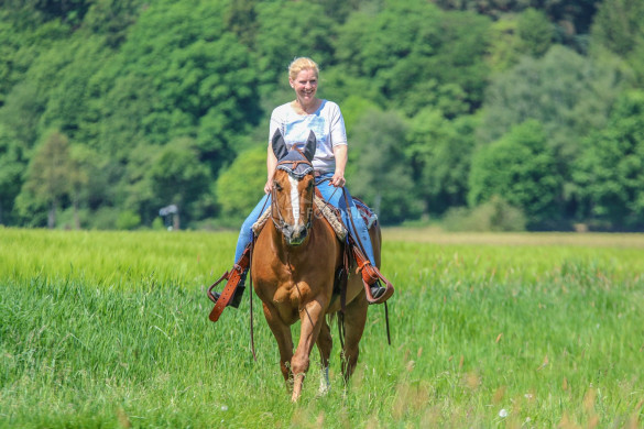 Tiershooting mit Pferd, Hund oder anderen Tieren