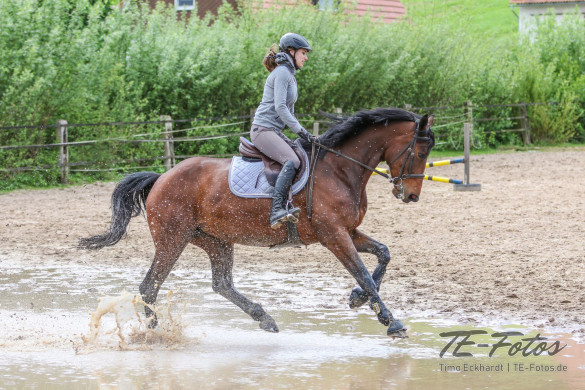 Tierfotografie & Reiten