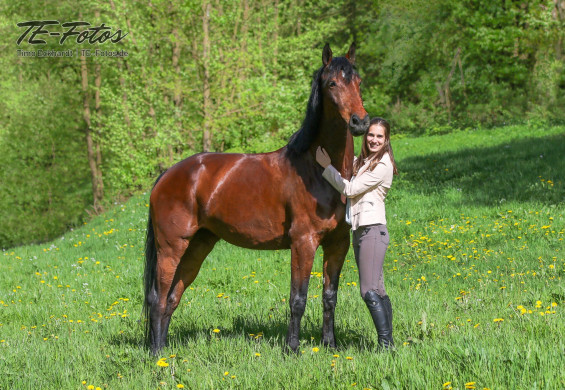 Tiershooting mit Pferd, Hund oder anderen Tieren