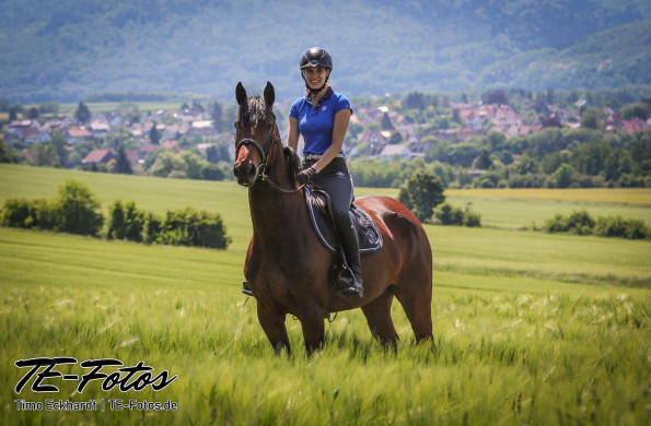 Tiershooting mit Pferd, Hund oder anderen Tieren