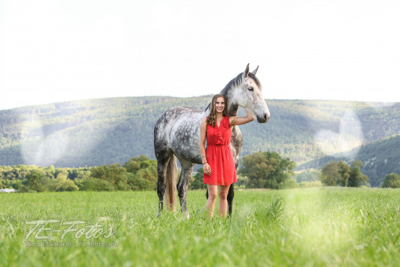 Tiershooting mit Pferd, Hund oder anderen Tieren