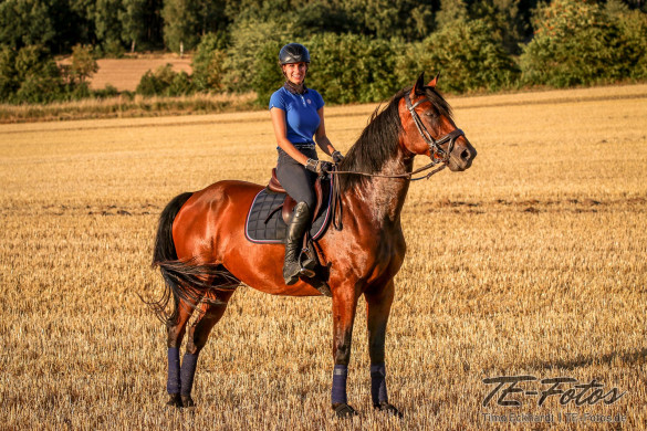 Tiershooting mit Pferd, Hund oder anderen Tieren