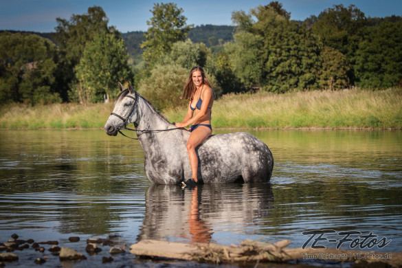 Tiershooting mit Pferd, Hund oder anderen Tieren