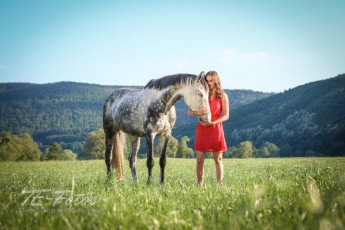 Pferdefotografie - Pferde Shooting im Weserbergland