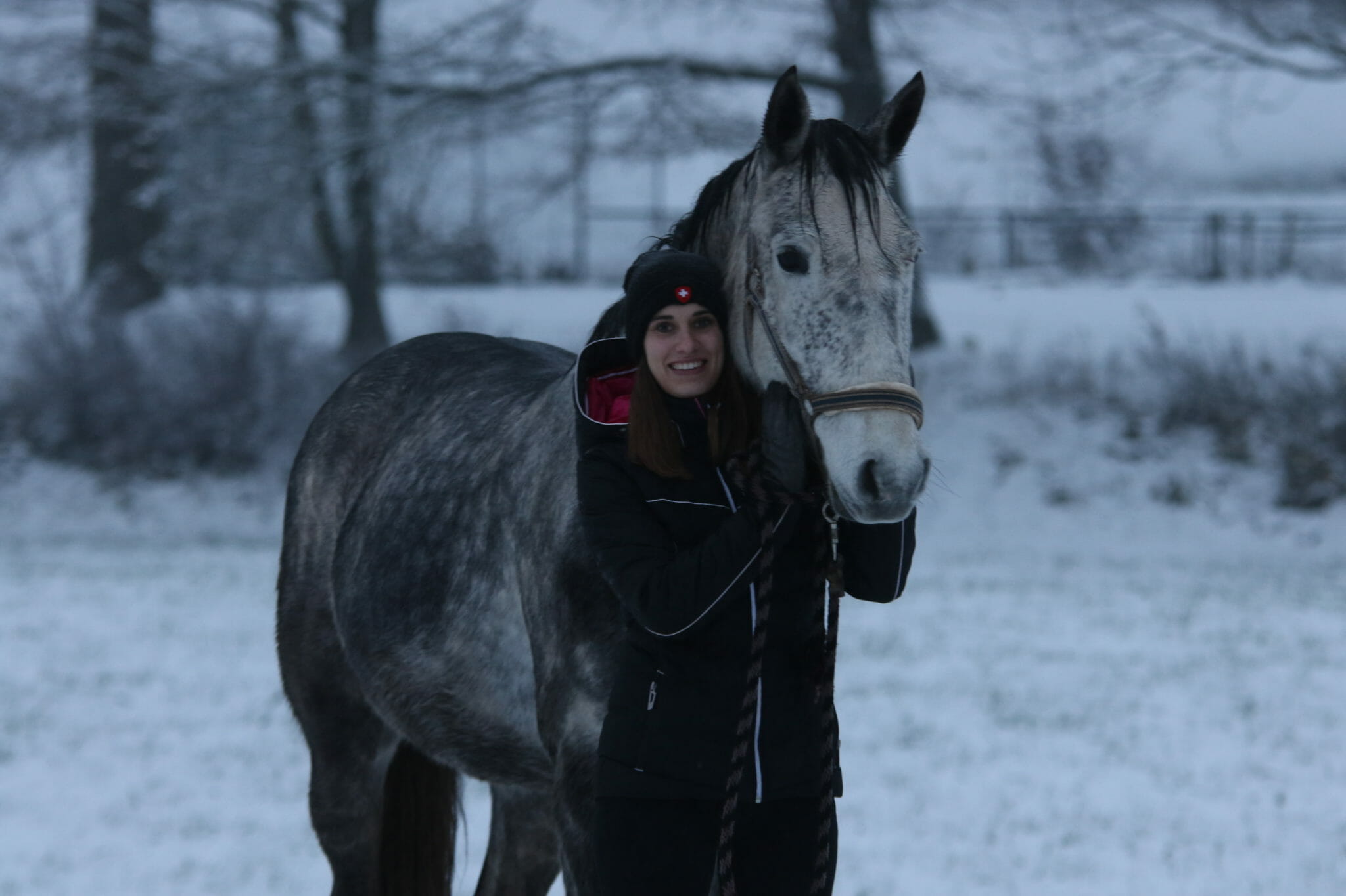 Pferdefotografie im Schnee vor der Bearbeitung