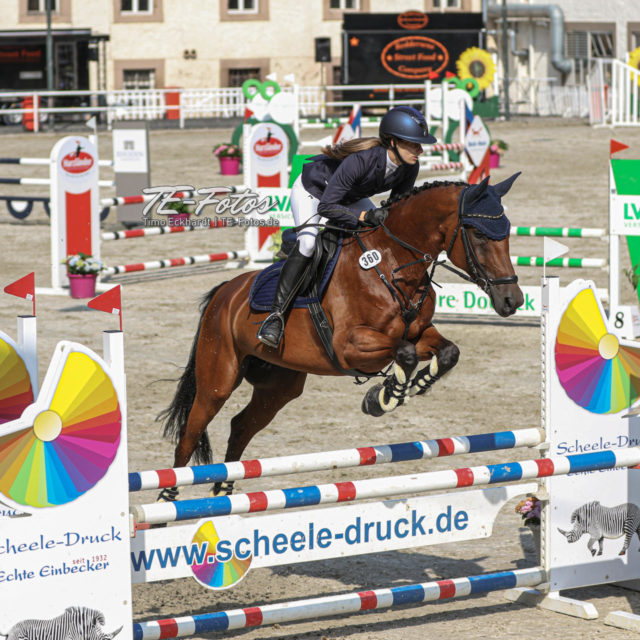 Turnier Nörten Hardenberg - Reitturnier