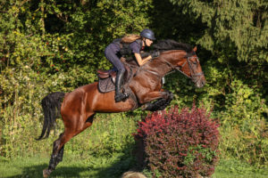 Vielseitigkeit Harbansen Training